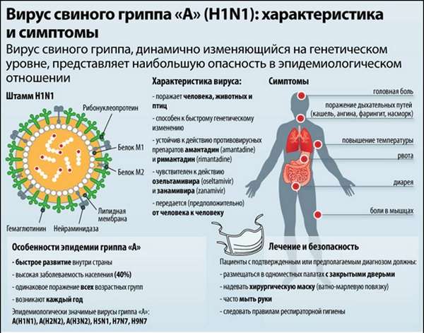 Свинячий грип (H1N1): симптоми і лікування