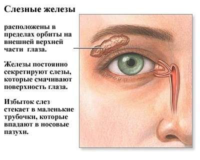 Синдром сухого ока: симптоми і лікування