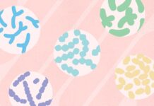 Probiotica decoderen: wat soorten eigenlijk doen