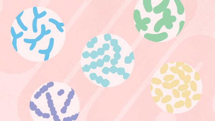 10eb32a5-0961-4300-94f9-cb54a68c0354