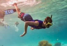 7 лучших образовательных летних лагерей с подводным плаванием и парусным спортом