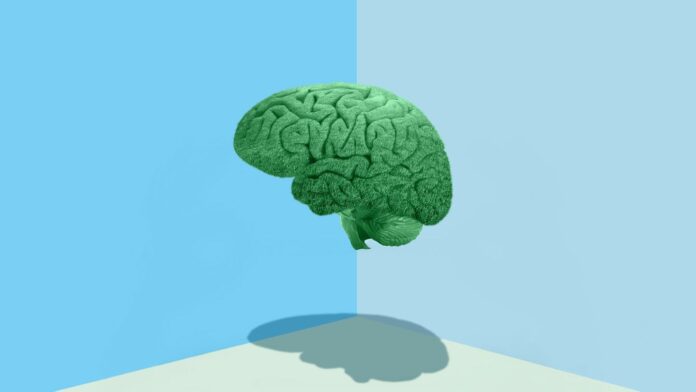 c55b4694-9896-40be-8698-8c7e09a5f531