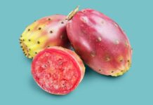 Плоди кактуса: висхідна зірка здоров’я та харчування