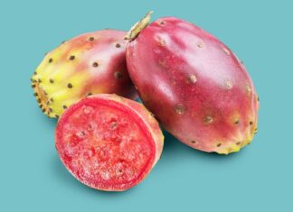 Buah Kaktus: Bintang Baru dalam Kesehatan dan Nutrisi