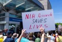 Скорочення фінансування NIH призвело до переривання сотень клінічних випробувань, які зачіпають понад 74 000 пацієнтів