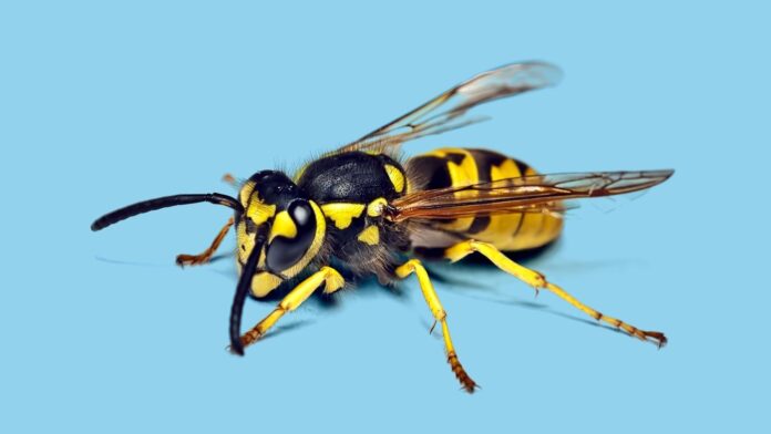 a6e4f292-d1b6-4461-a4bd-e965277dfbd7