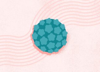 Humanes Papillomavirus (HPV): Infektion, Risiken und Prävention verstehen