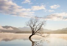 Membangun Praktek Meditasi Berkelanjutan: Panduan Praktis