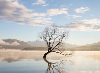 Vytvoření udržitelné meditační praxe: Praktický průvodce