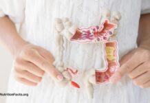 Відновлення кишкової проникності за допомогою дієти: науковий підхід