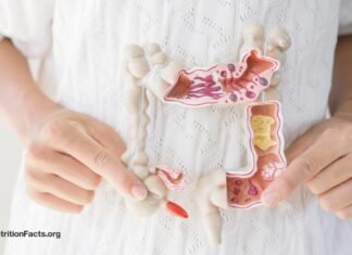 Menyembuhkan Usus Bocor Melalui Diet: Pendekatan Berbasis Sains