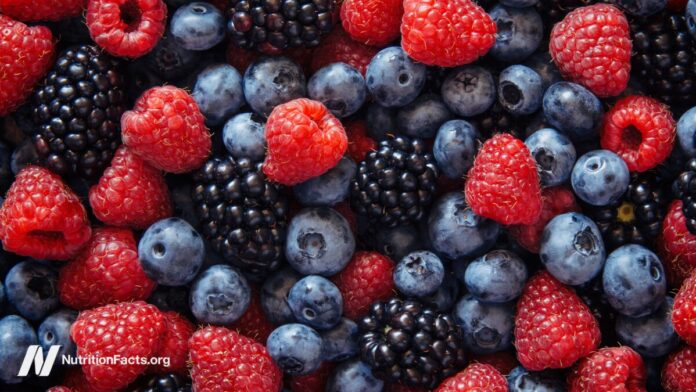 61c55a76-e30e-4dda-abc0-8527a40579e3