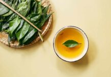 Green Tea and Your Immune System: A Comprehensive Guide