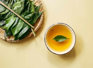 Zelený čaj a váš imunitní systém: Kompletní průvodce