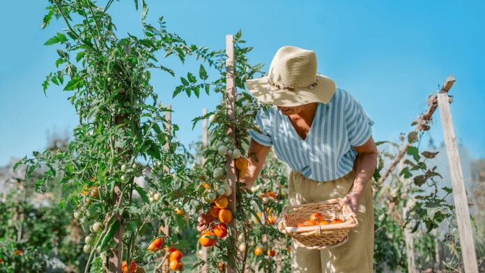 866372ed-7533-44dd-b6df-4312b2ac2bb6