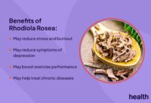 Rhodiola: Ein umfassender Blick auf Vorteile, Risiken und Verwendung