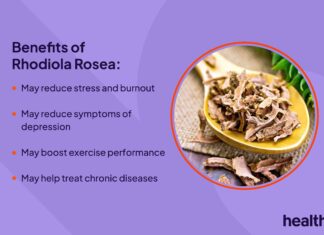 Rhodiola: uma visão abrangente dos benefícios, riscos e uso