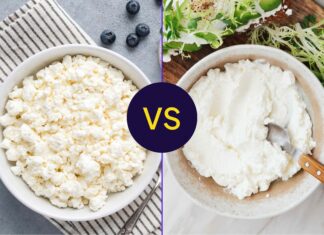 Cottage Cheese a Ricotta: Srovnání nutriční hodnoty