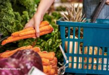 Органічні продукти та ризик розвитку раку: що говорить наука?