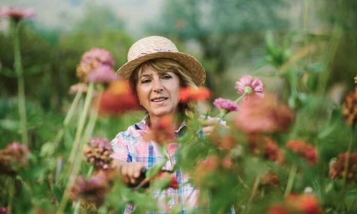 45a2fe15-074c-4c8e-b018-51ca60a7ceed