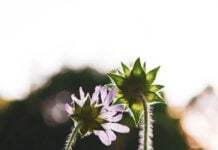 Искусство «удерживания пространства»: как поддерживать других, не теряя себя