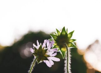 Искусство «удерживания пространства»: как поддерживать других, не теряя себя