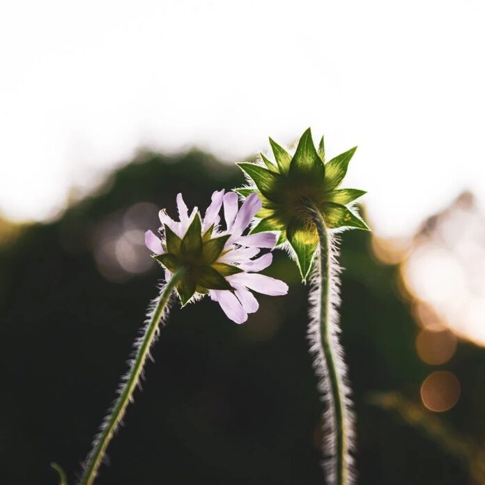 4e43d96a-4fe2-40c7-ab28-6500bc5afbce