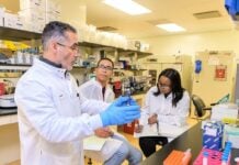 Инновационный застой: как политическая нестабильность тормозит разработку вакцин