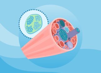 Понимание болезни Помпе: причины, типы и современные методы лечения