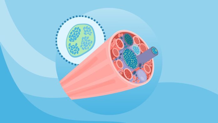 d26aeb74-7924-4853-ae94-eda16e0615a2