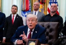 Новые горизонты ментального здоровья: указы Трампа приближают использование психоделиков и каннабиса к легальному медицинскому статусу