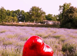 Love bombing is not romance. It’s control.