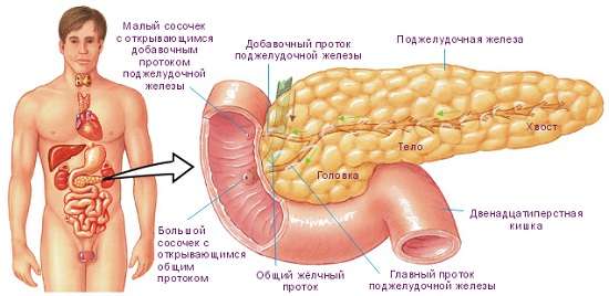 Рак підшлункової залози: симптоми і лікування