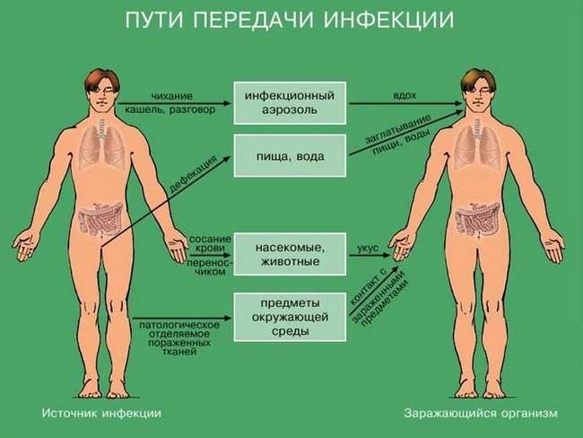 Реактивний гепатит: симптоми і лікування